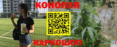 эйфоретик Туймазы